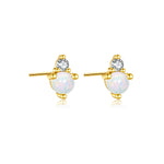 925 Sterling Silver Birthstone 3mm Stud Earrings 40200763