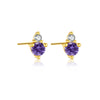 18K Yellow Gold Plated-Feb