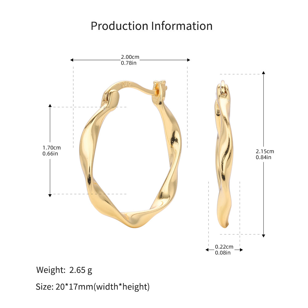925 Sterling Silver Mobius Twist Geometric Hoop Earrings 60400036