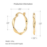 925 Sterling Silver Mobius Twist Geometric Hoop Earrings 60400036