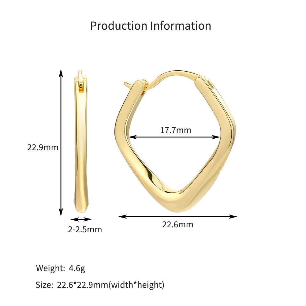 925 Sterling Silver Twisted Geometric Hoop Earrings 60400037